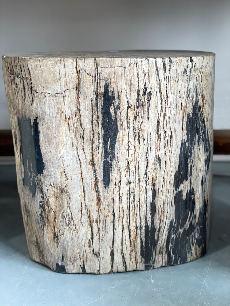 Petrified Wood Accent Stool