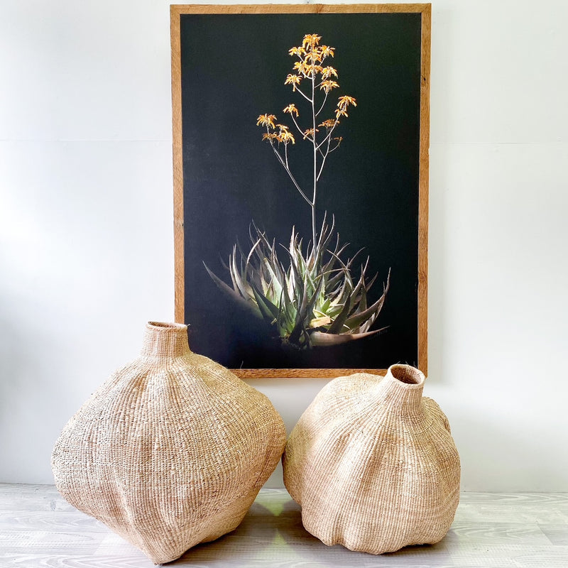 Bulawayo gourd baskets